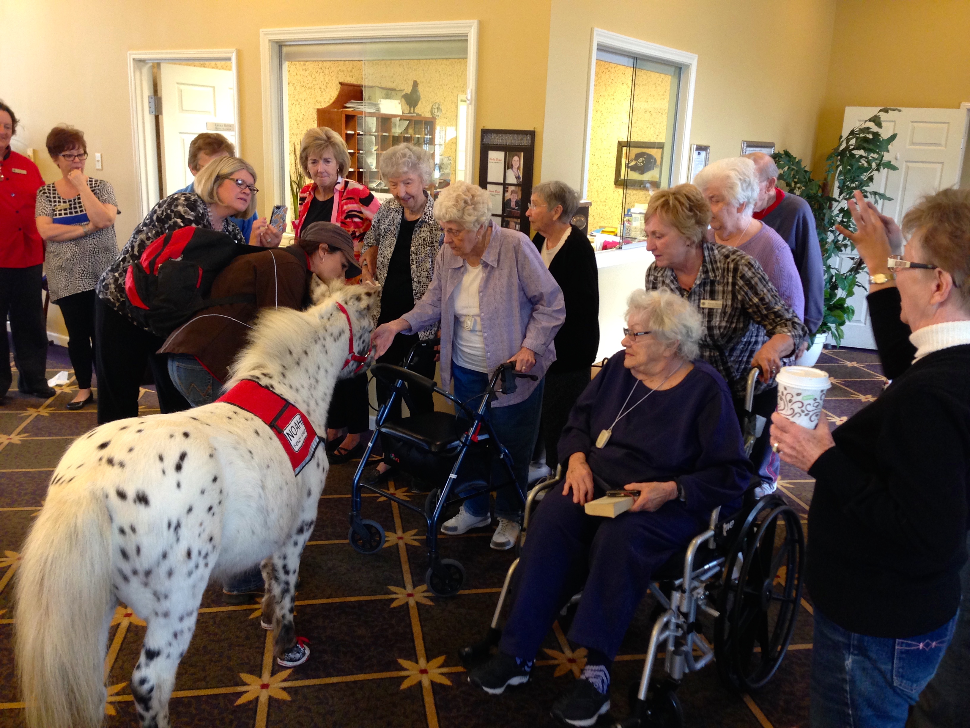 Pet Therapy Does Matter Cambrian Senior Living